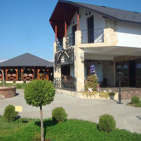 Pension La Taticu Săcălăşeni Bagian luar foto